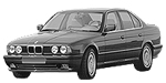 BMW E34 C246D Fault Code
